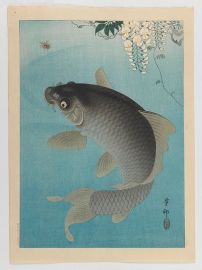 藤の下の鯉、1935年頃（木版カラー印刷） 作： Ohara Koson